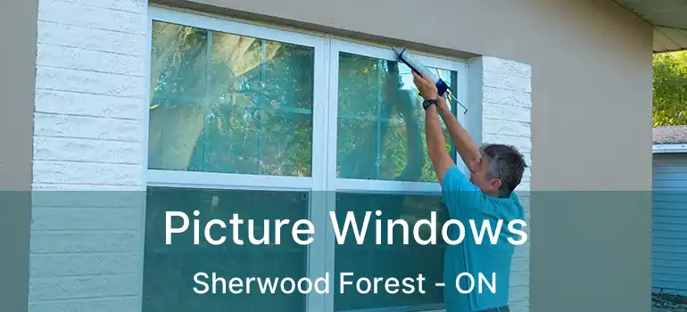  Picture Windows Sherwood Forest - ON