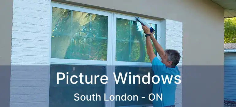  Picture Windows South London - ON