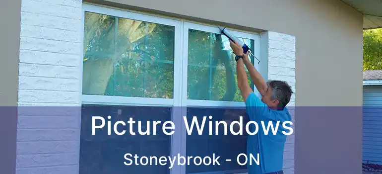 Picture Windows Stoneybrook - ON