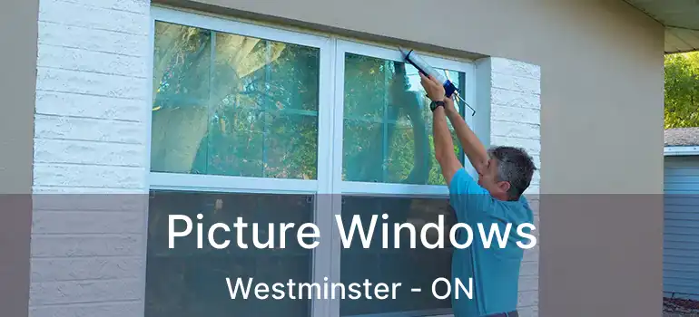  Picture Windows Westminster - ON