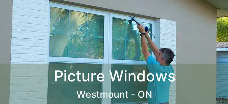  Picture Windows Westmount - ON