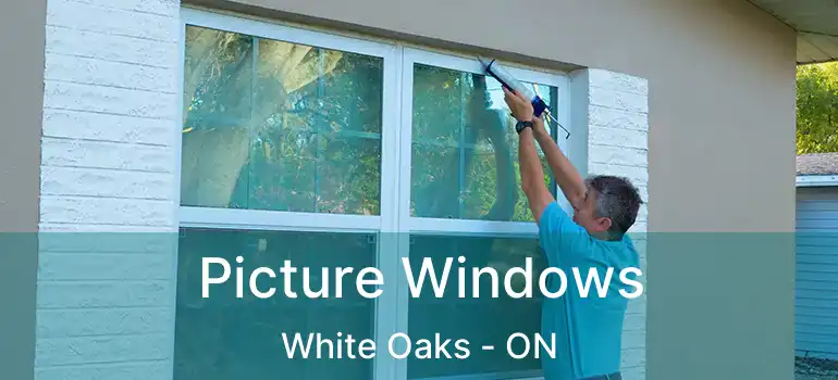  Picture Windows White Oaks - ON