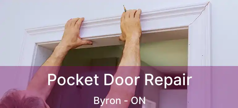  Pocket Door Repair Byron - ON