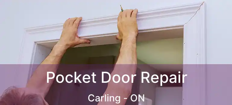  Pocket Door Repair Carling - ON