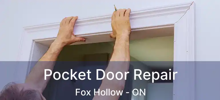  Pocket Door Repair Fox Hollow - ON