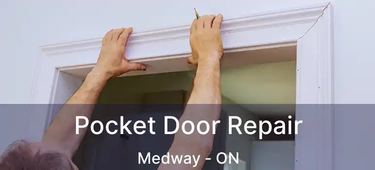  Pocket Door Repair Medway - ON