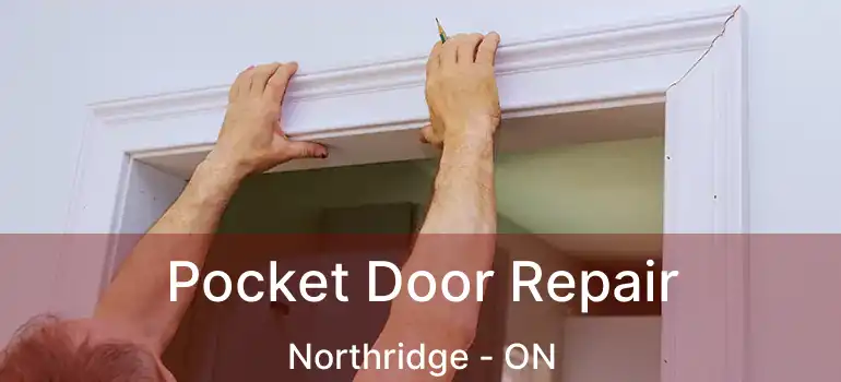  Pocket Door Repair Northridge - ON