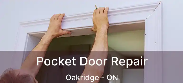  Pocket Door Repair Oakridge - ON