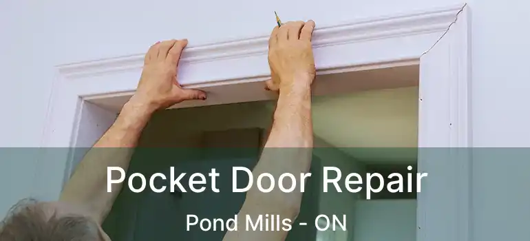  Pocket Door Repair Pond Mills - ON