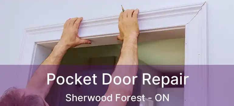  Pocket Door Repair Sherwood Forest - ON