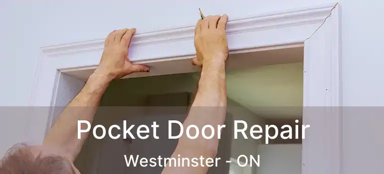  Pocket Door Repair Westminster - ON