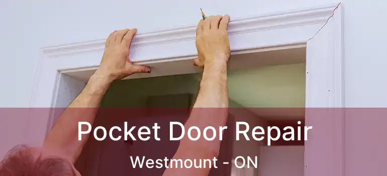  Pocket Door Repair Westmount - ON