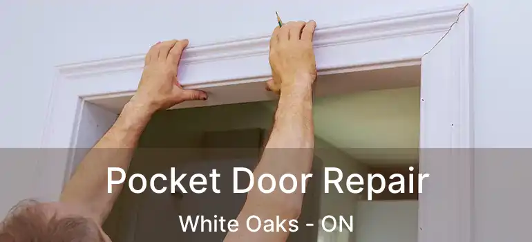  Pocket Door Repair White Oaks - ON