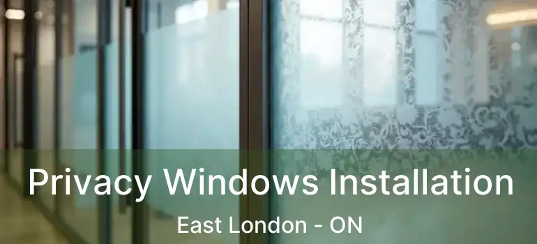  Privacy Windows Installation East London - ON