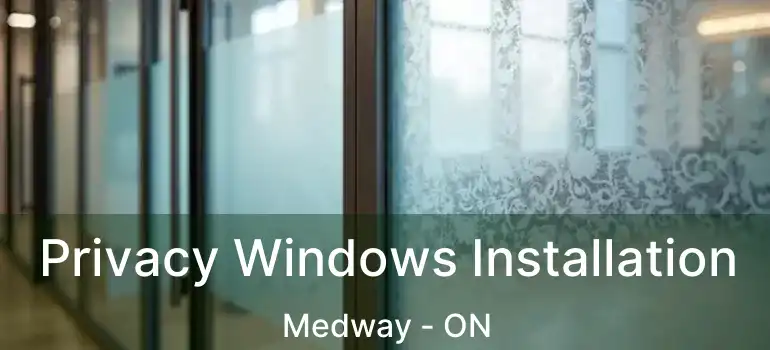  Privacy Windows Installation Medway - ON