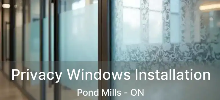 Privacy Windows Installation Pond Mills - ON
