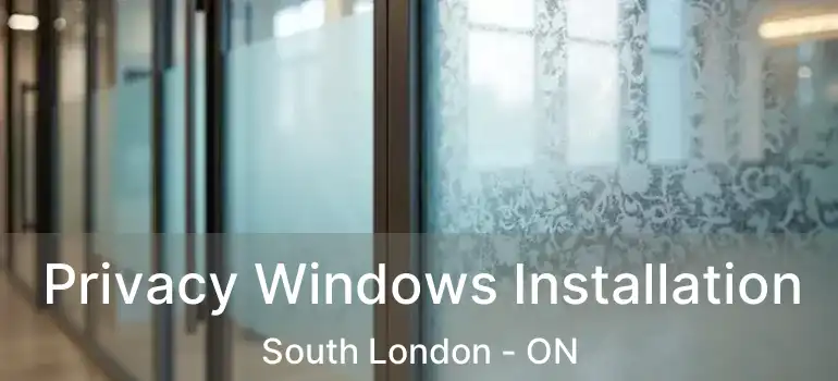  Privacy Windows Installation South London - ON
