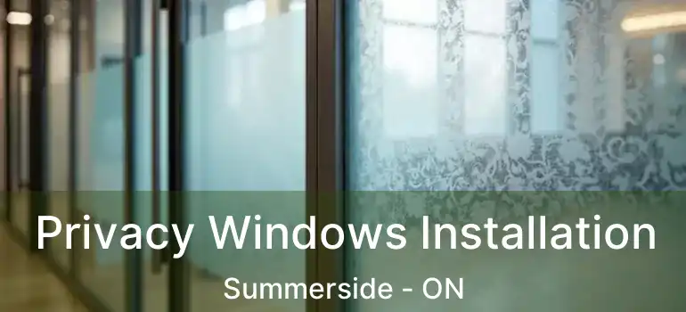  Privacy Windows Installation Summerside - ON