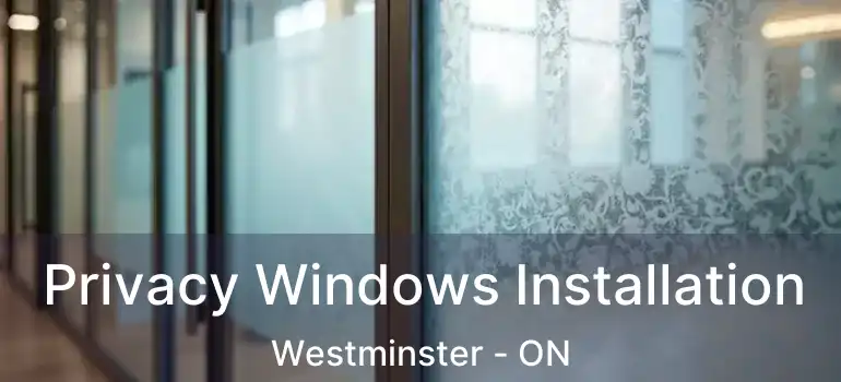  Privacy Windows Installation Westminster - ON