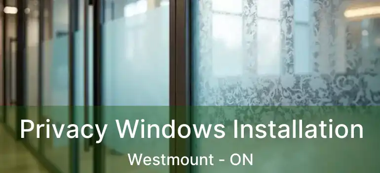  Privacy Windows Installation Westmount - ON