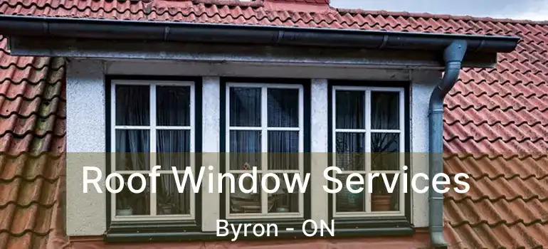  Roof Window Services Byron - ON