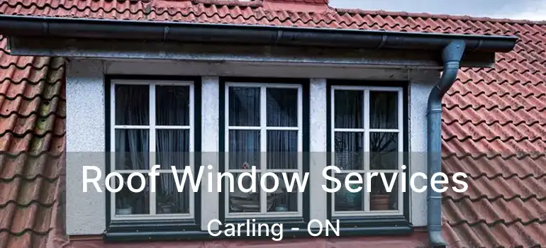  Roof Window Services Carling - ON