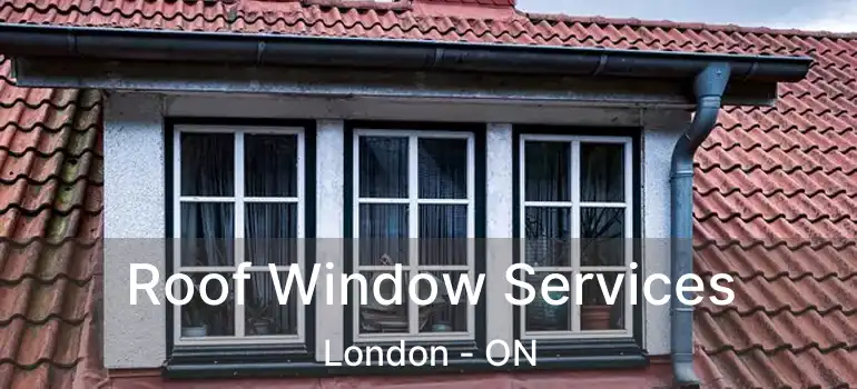  Roof Window Services London - ON