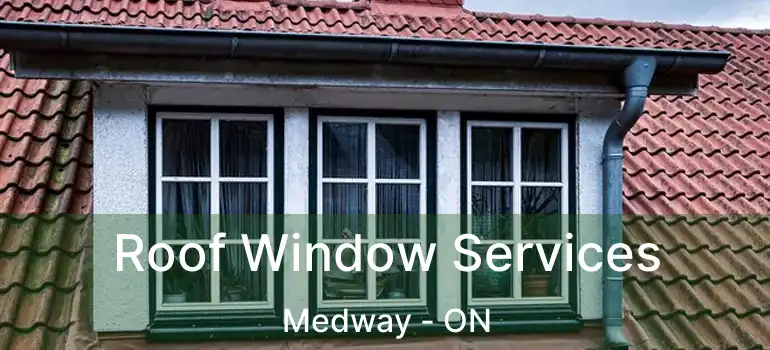  Roof Window Services Medway - ON