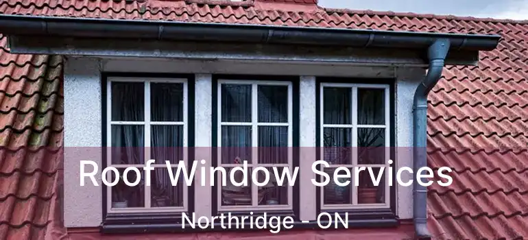  Roof Window Services Northridge - ON