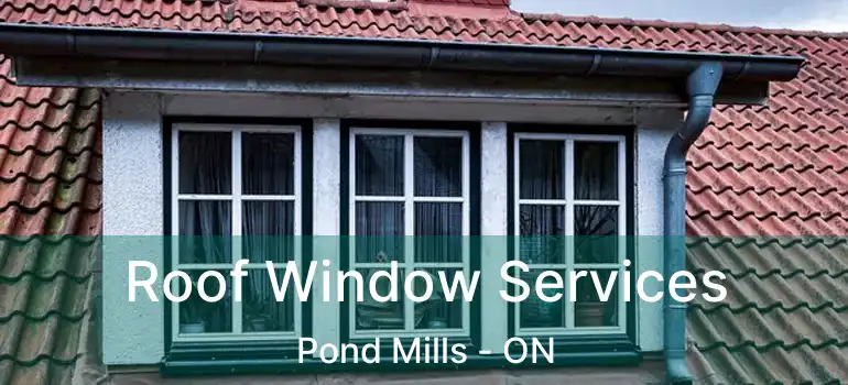  Roof Window Services Pond Mills - ON