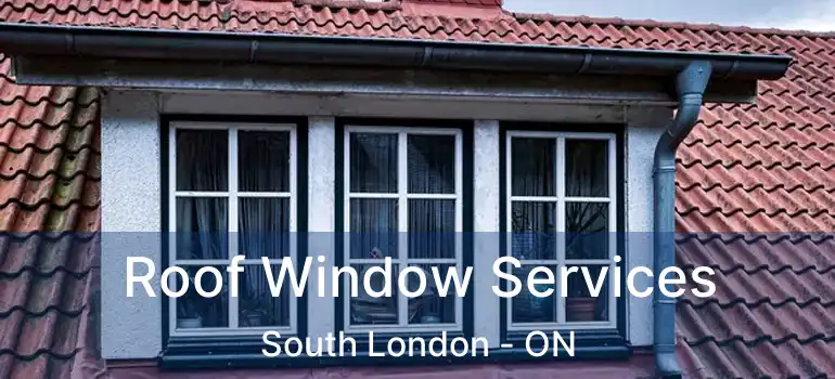  Roof Window Services South London - ON
