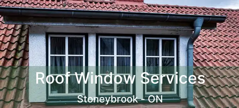  Roof Window Services Stoneybrook - ON