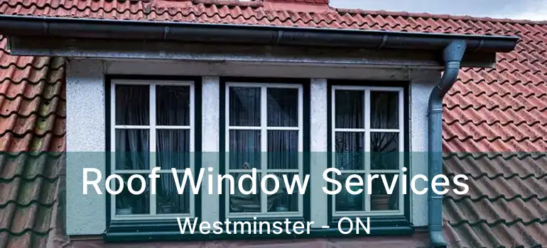  Roof Window Services Westminster - ON