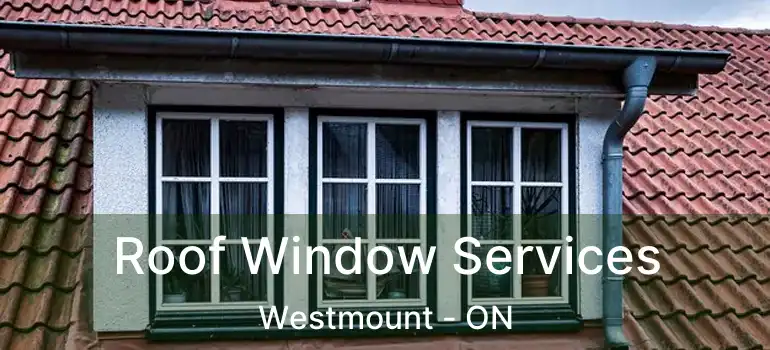  Roof Window Services Westmount - ON