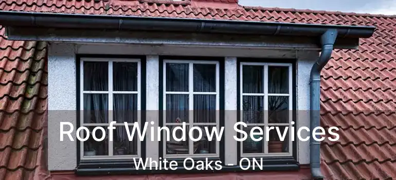  Roof Window Services White Oaks - ON