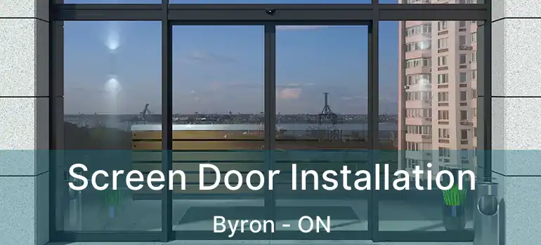  Screen Door Installation Byron - ON