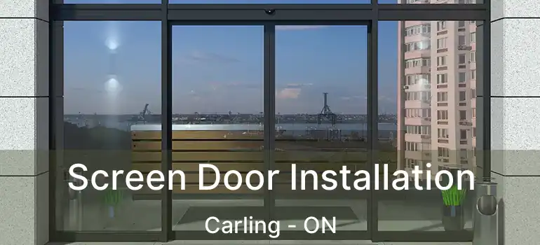  Screen Door Installation Carling - ON