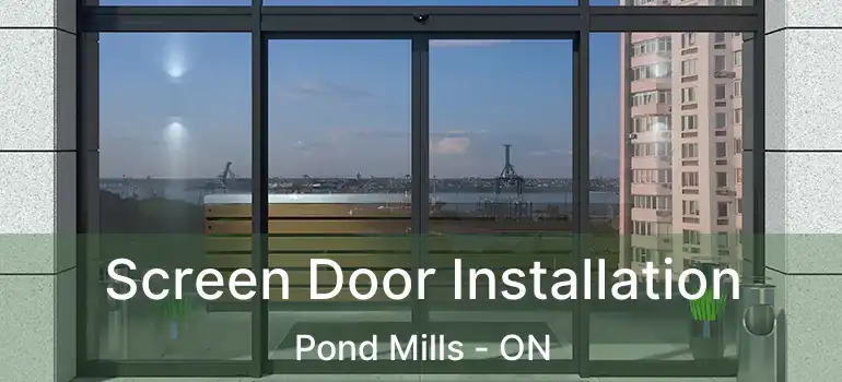  Screen Door Installation Pond Mills - ON