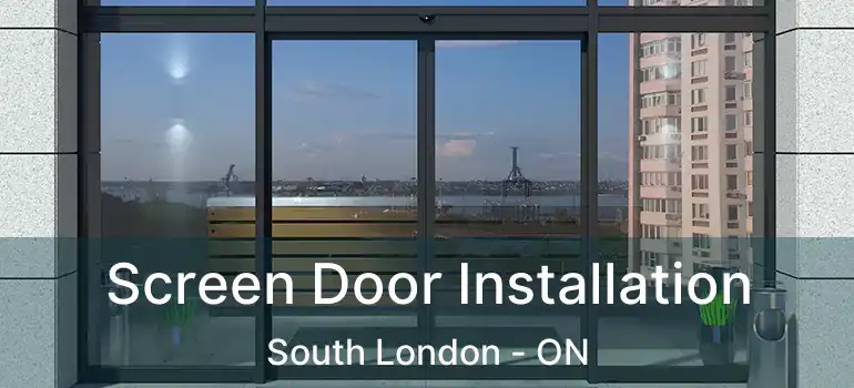  Screen Door Installation South London - ON