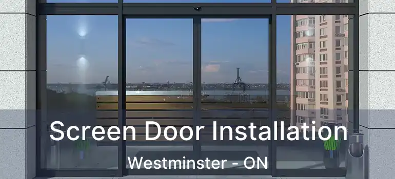  Screen Door Installation Westminster - ON