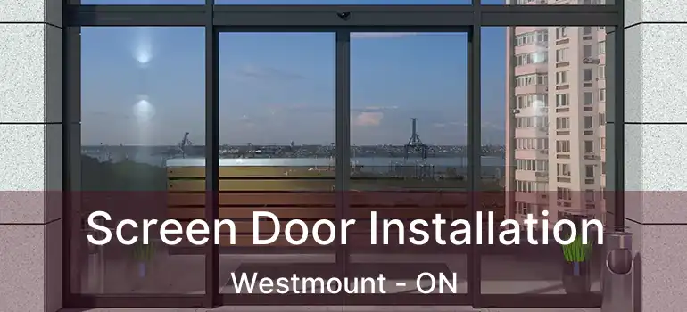  Screen Door Installation Westmount - ON