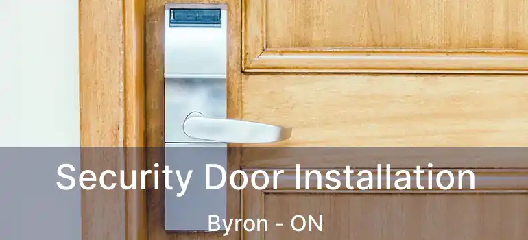  Security Door Installation Byron - ON