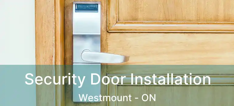  Security Door Installation Westmount - ON