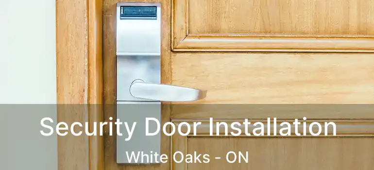  Security Door Installation White Oaks - ON