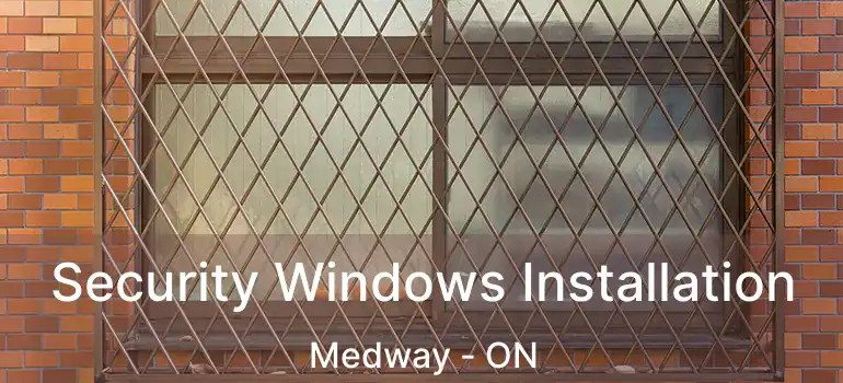 Security Windows Installation Medway - ON