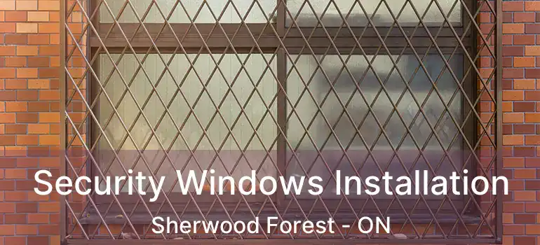  Security Windows Installation Sherwood Forest - ON