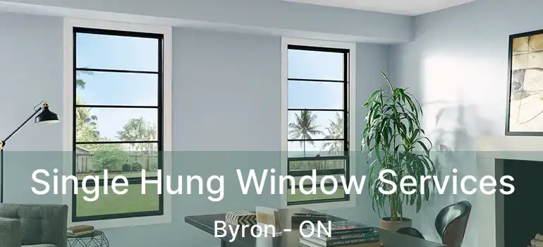  Single Hung Window Services Byron - ON