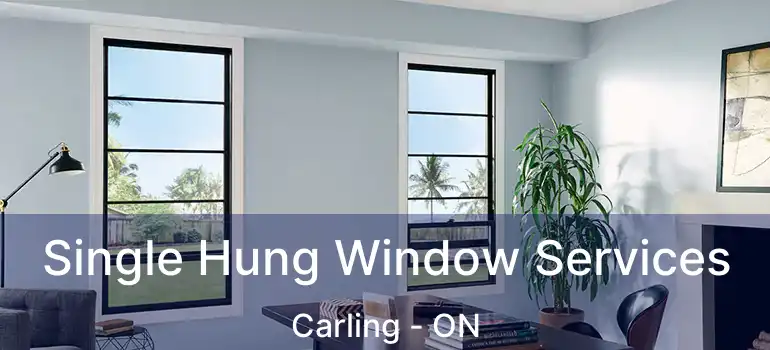  Single Hung Window Services Carling - ON