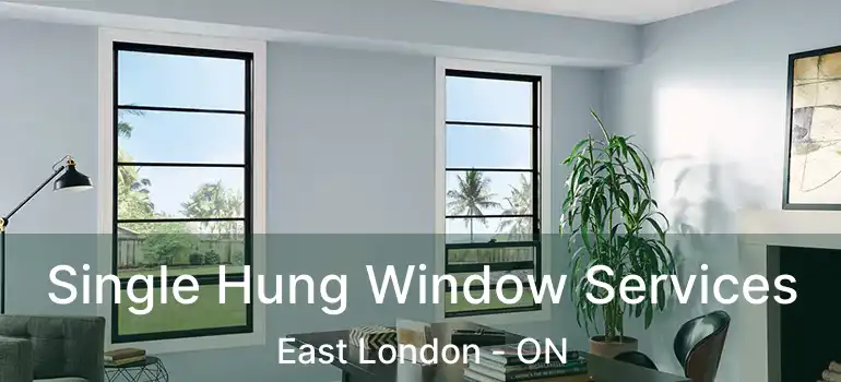  Single Hung Window Services East London - ON