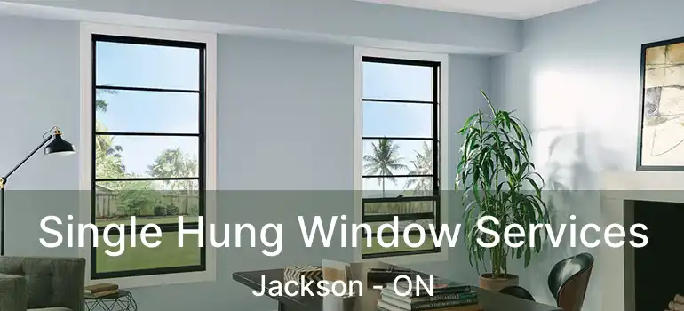  Single Hung Window Services Jackson - ON